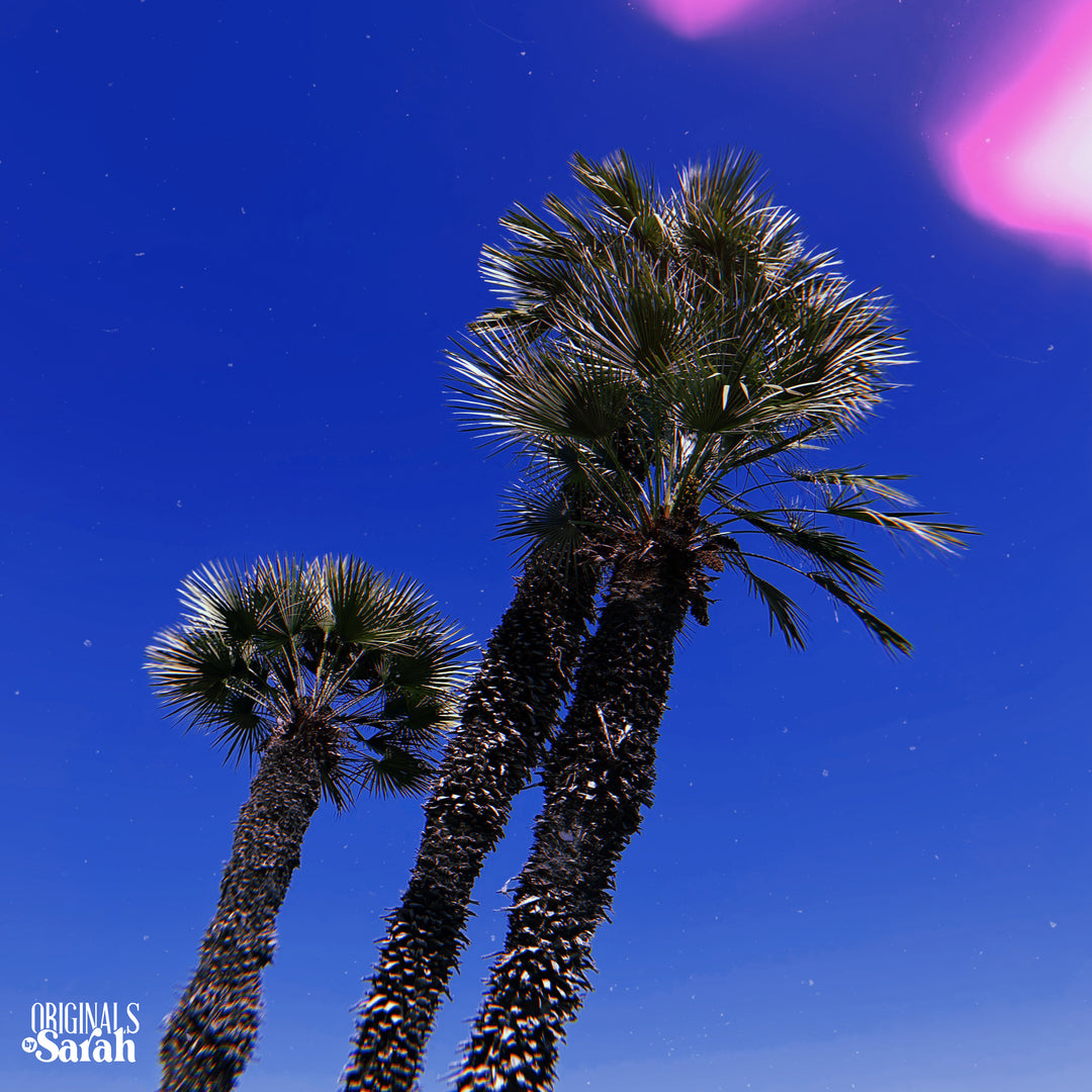 "A Good Day in LA — The Beat Tape" | Sarah, The Illstrumentalist - Digital Album